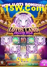 Casino VIP Ojwin